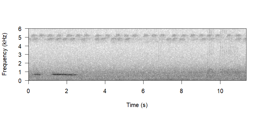 Spectrogram of Abnormal Vocalisations
