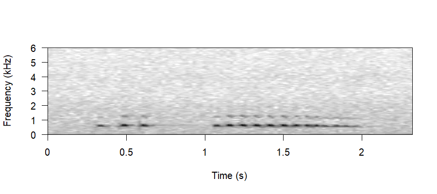 Spectrogram of Double Trill