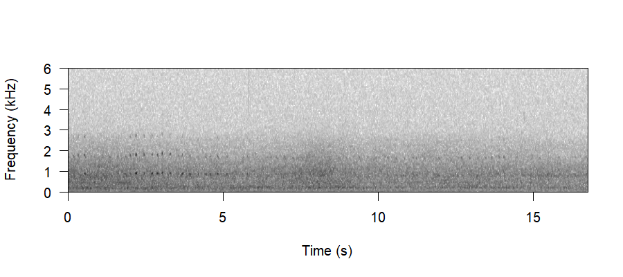 Spectrogram of Drumming