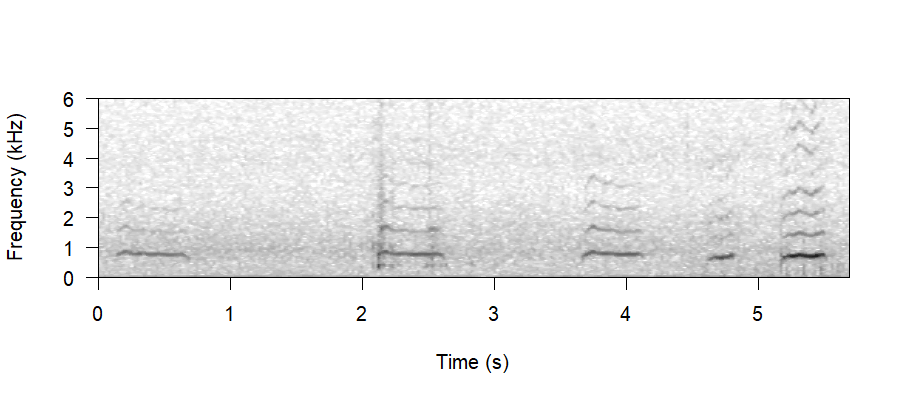 Spectrogram of Whinny