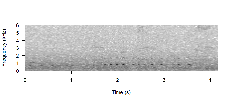 Spectrogram of Abnormal Vocalisations