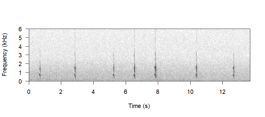 Spectrogram of Abnormal Vocalisations