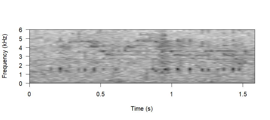 Spectrogram of Abnormal Vocalisations