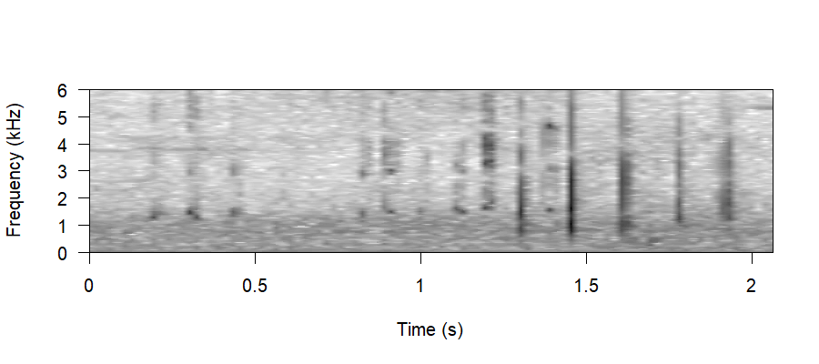 Spectrogram of Abnormal Vocalisations